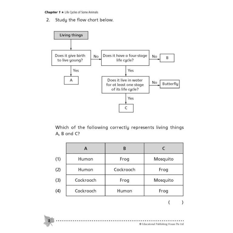 Primary 4 Commonly Tested Science Exam Questions/ Primary 4 Science ...