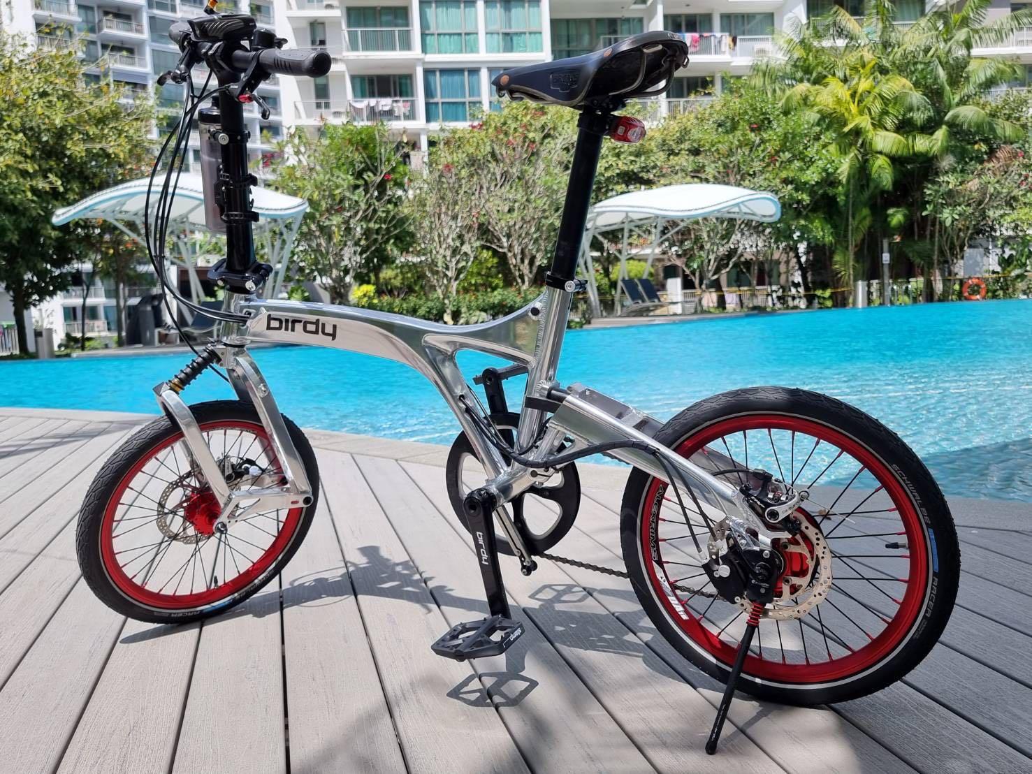 Birdy rohloff 14sp best sale
