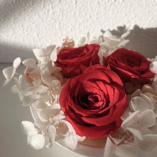 (Category: ) located in . Submitted by deckedinflowers (Listing ID 1141537045, Image 1). Description: .