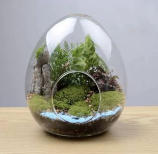 (Category: ) located in . Submitted by myshoppinspree (Listing ID 1141525440, Image 1). Description: .
