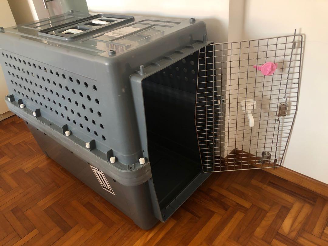 IATA Approved Pet Travel Crate PP70, Pet Supplies, Homes & Other Pet