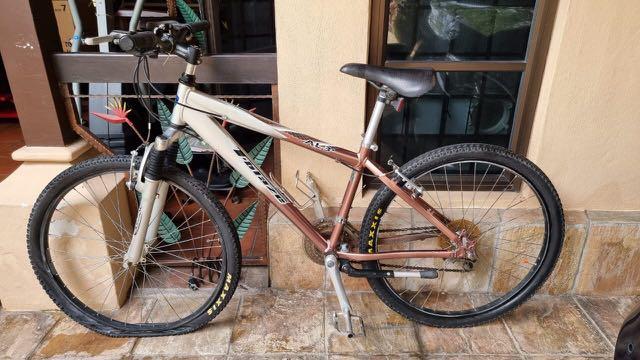 Pacific blaze on sale mountain bike