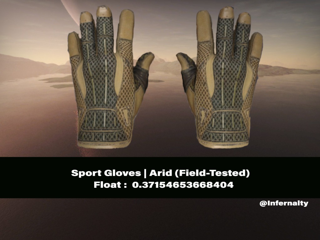 Sport Gloves Arid FT CSGO SKINS KNIVES, Video Gaming, Gaming