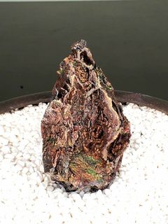 （分類：）位於 。 由 yanyancyy 提交（商品編號 1141826989，圖片 1）。簡介： 。