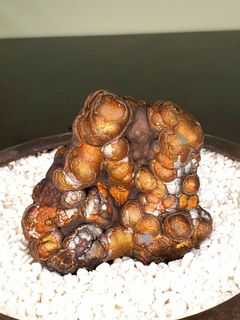 （分類：）位於 。 由 yanyancyy 提交（商品編號 1141833581，圖片 1）。簡介： 。