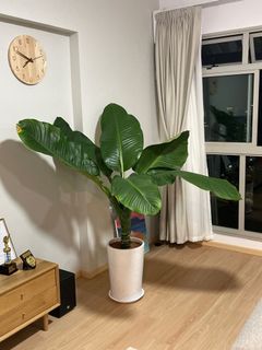(Category: ) located in . Submitted by jay_living (Listing ID 1141816687, Image 1). Description: .
