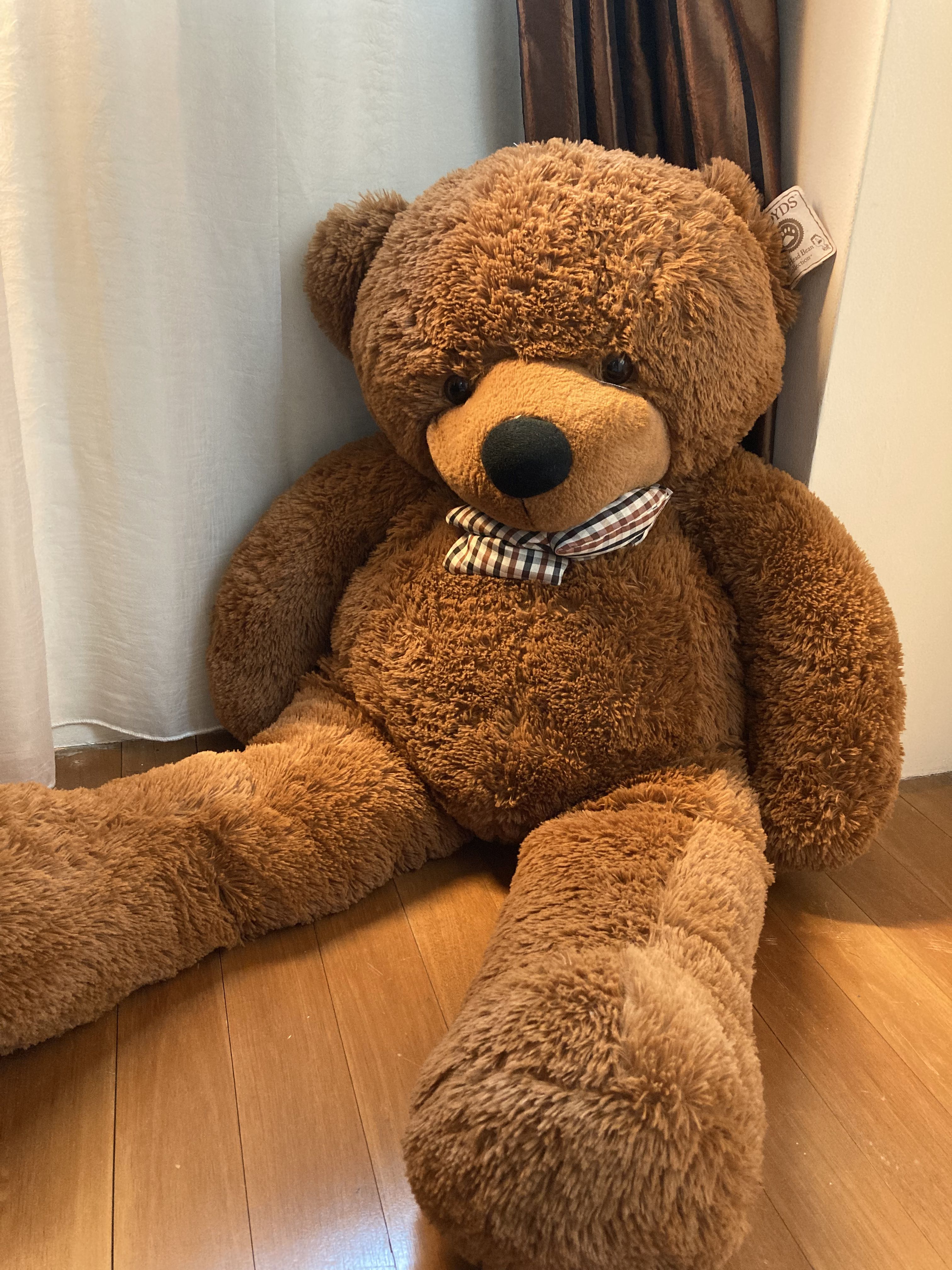 Girlfriend big top teddy bear