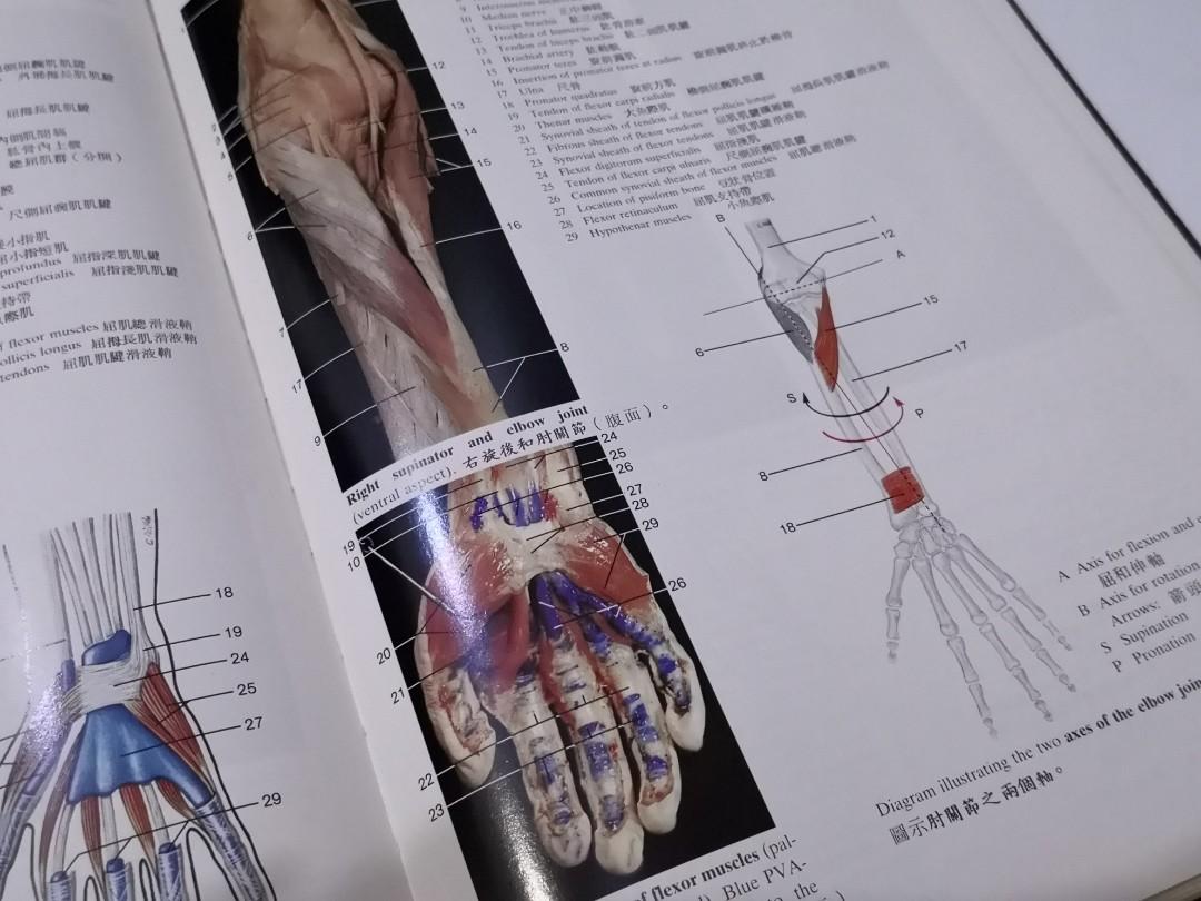 Book - Color Atlas Of Anatomy, Hobbies & Toys, Books & Magazines
