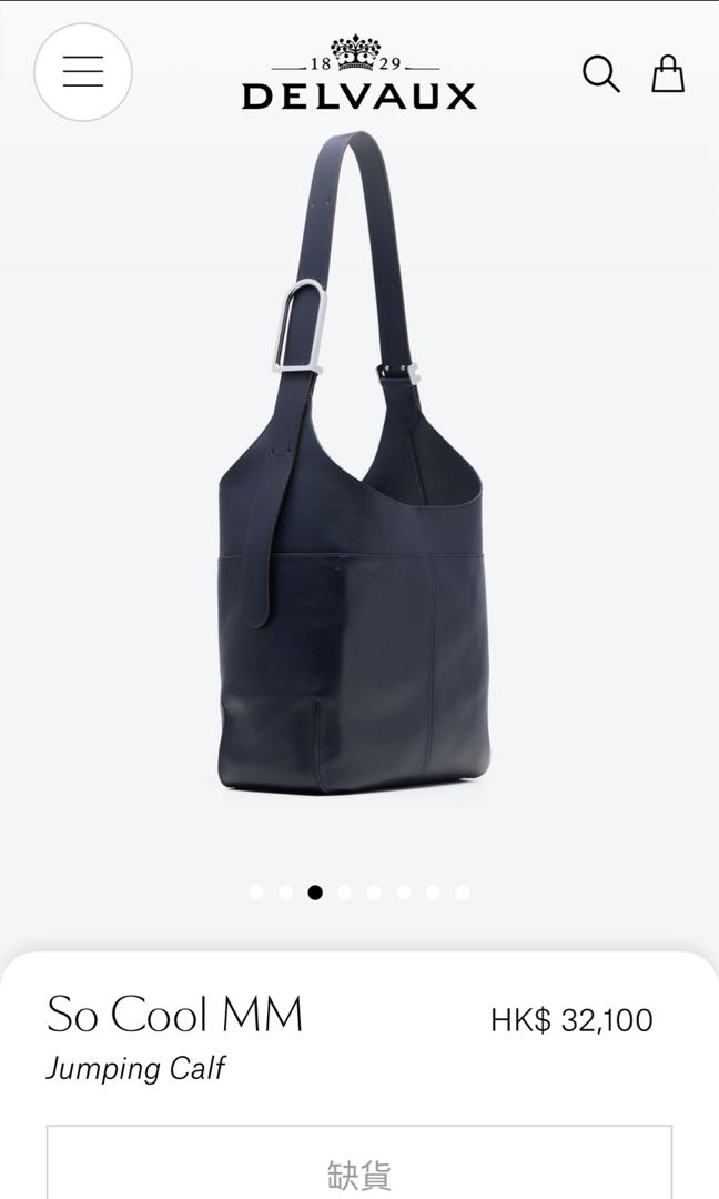 Delvaux So cool bag, 名牌, 手袋及銀包- Carousell