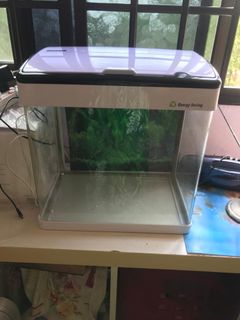 (Category: ) located in . Submitted by quah14 (Listing ID 1141744953, Image 1). Description: .