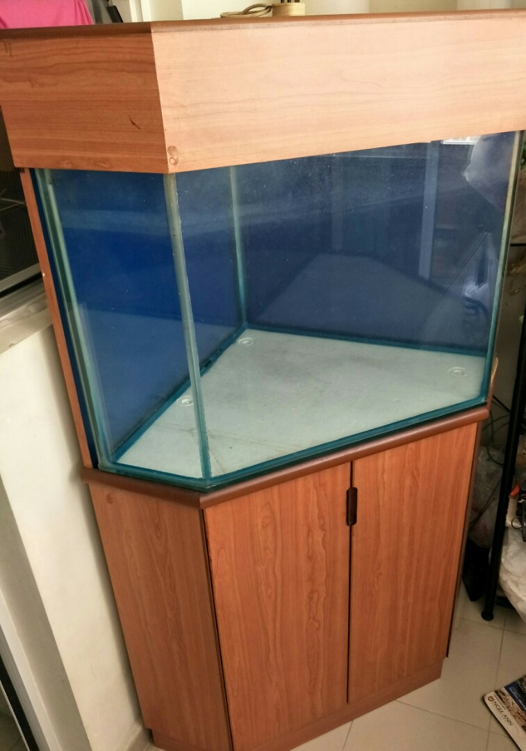Fish Tank With Cabinet Pet Supplies