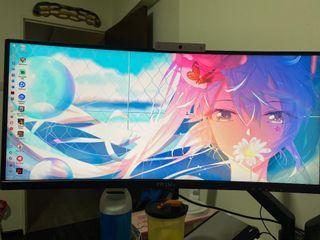 prismplus x300