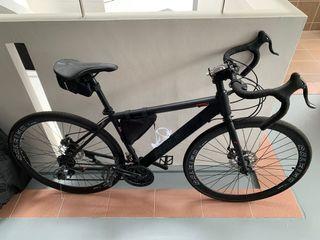 Raleigh RL880