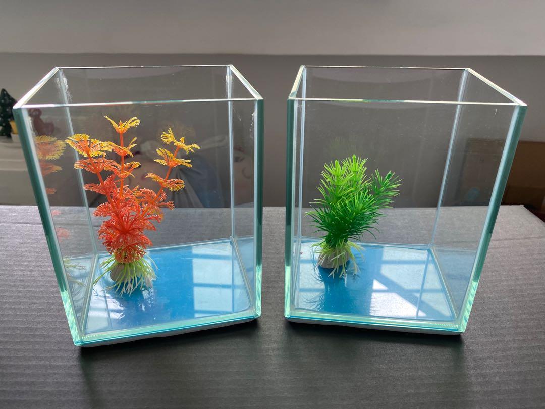 small square fish tank
