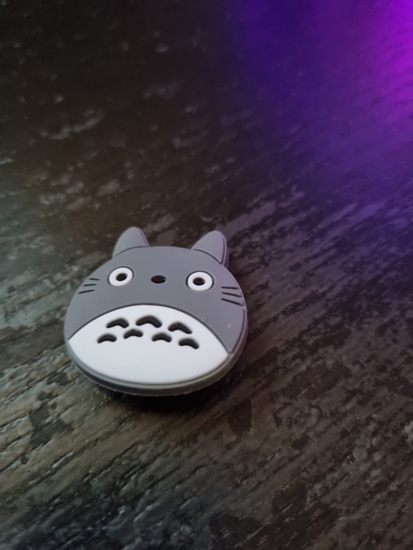 Totoro jibbitz online