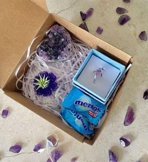 Valentine’s Day gift set Airplant air plant Airplant resin gift moissanite ring crystal agate slice amethyst heart