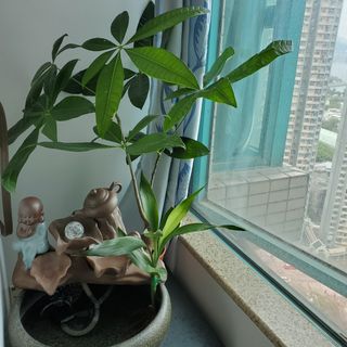 （分類：）位於 。 由 lapthu82 提交（商品編號 1141932772，圖片 1）。簡介： 。