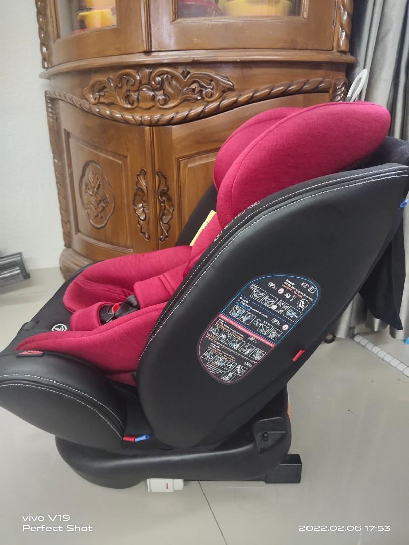 Sweet cherry 2024 st3