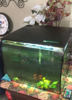 (Category: ) located in . Submitted by laksalormee (Listing ID 1141961552, Image 1). Description: .