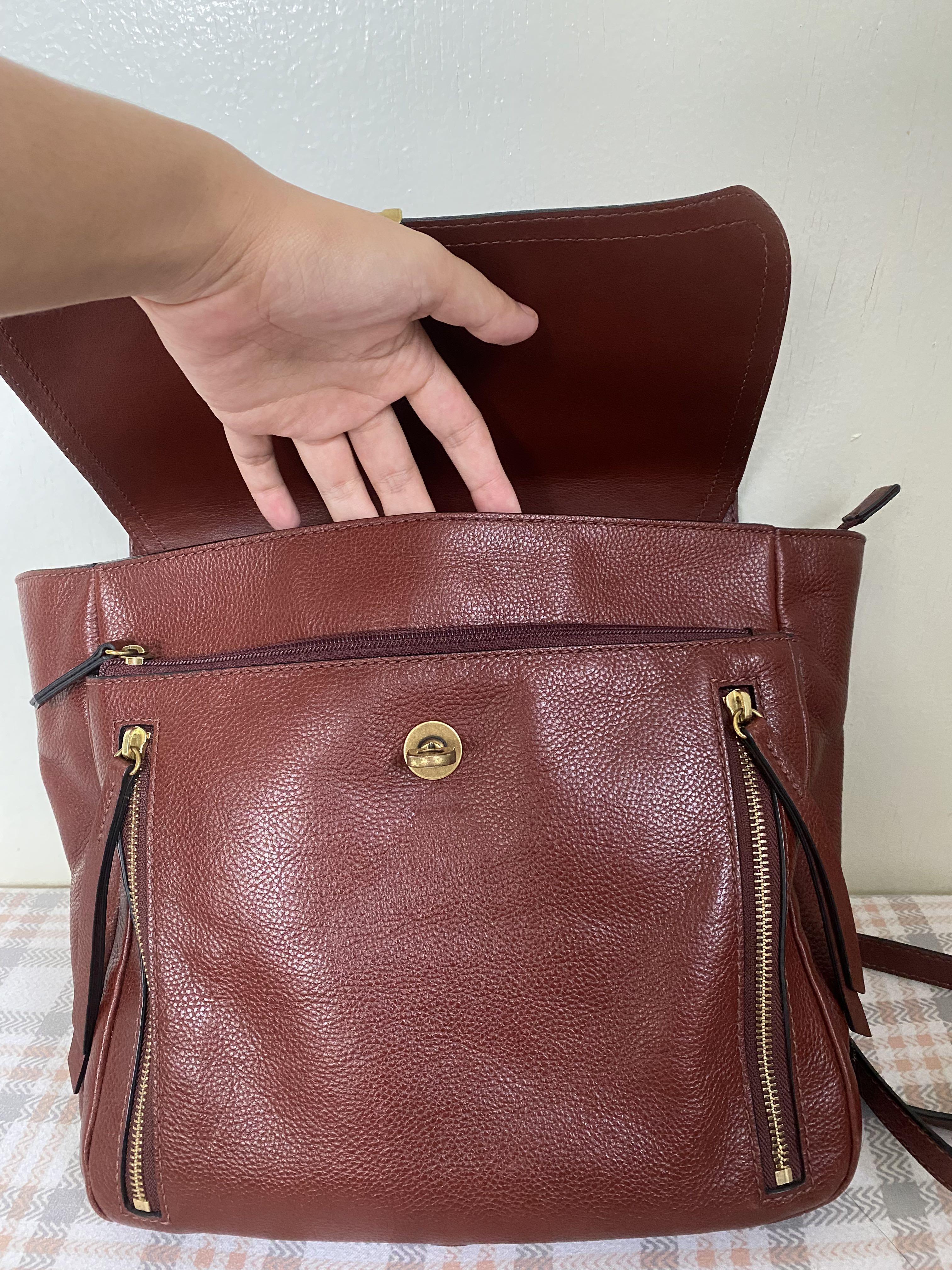 Fossil amelia sale
