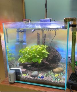 (Category: ) located in . Submitted by chingsharon (Listing ID 1142049950, Image 1). Description: .