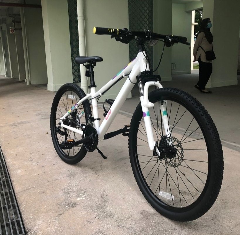 Giant Liv Meme 2 Ladies Bike, Sports 