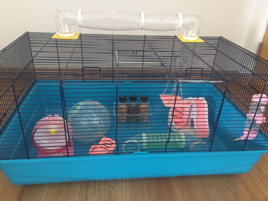 barney cage hamster