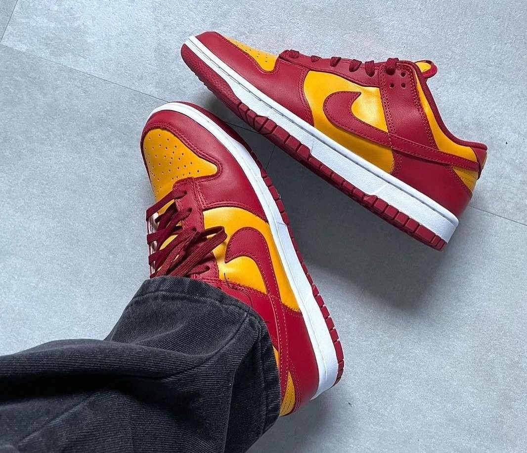 SB Dunk vx100, Men's Fashion, Footwear, Sneakers on Carousell