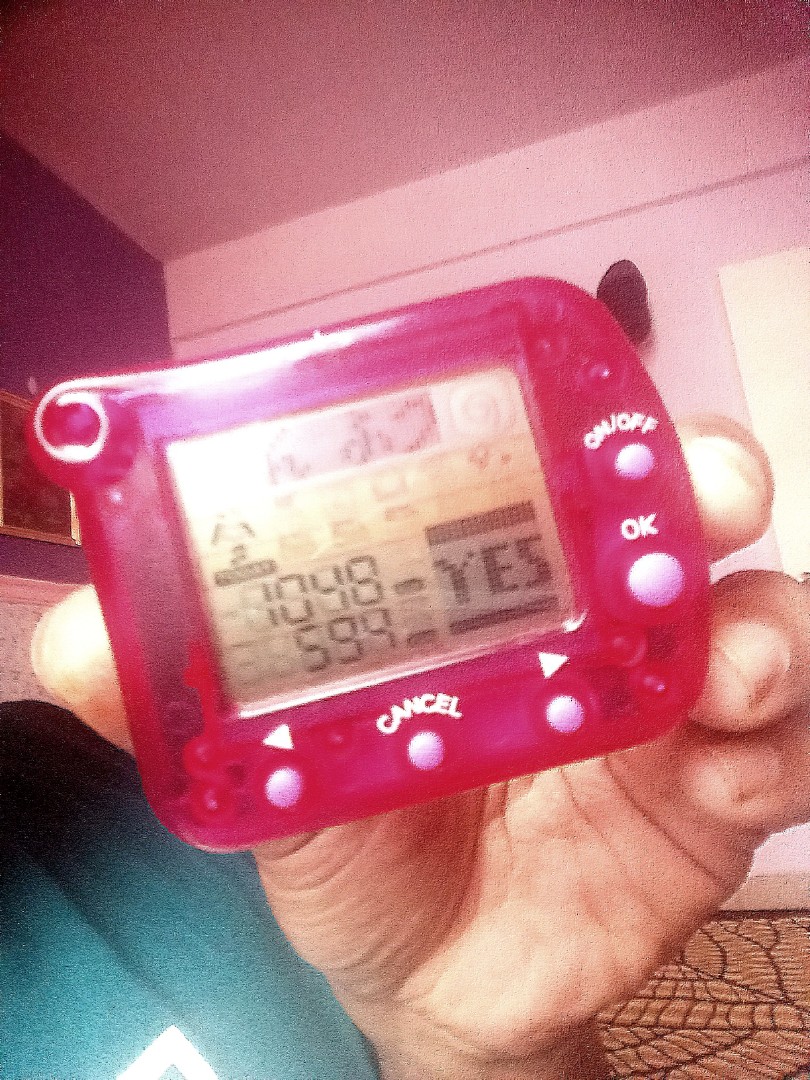 bandai 1998 pedometer virtual pet, Hobbies & Toys, Toys & Games on