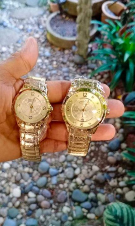 Coach watch gold 2025