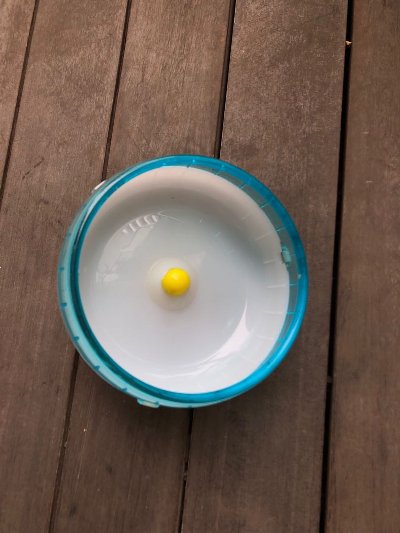 hamster wheel for dwarf hamsters(dia 15cm) , Pet Supplies, Homes