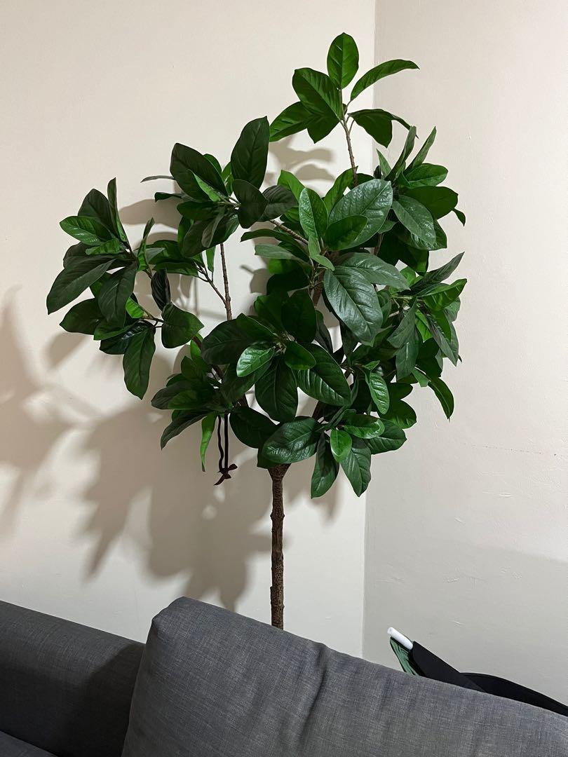Ikea Artificial Potted Plant Fejka, Furniture & Home Living, Home Decor