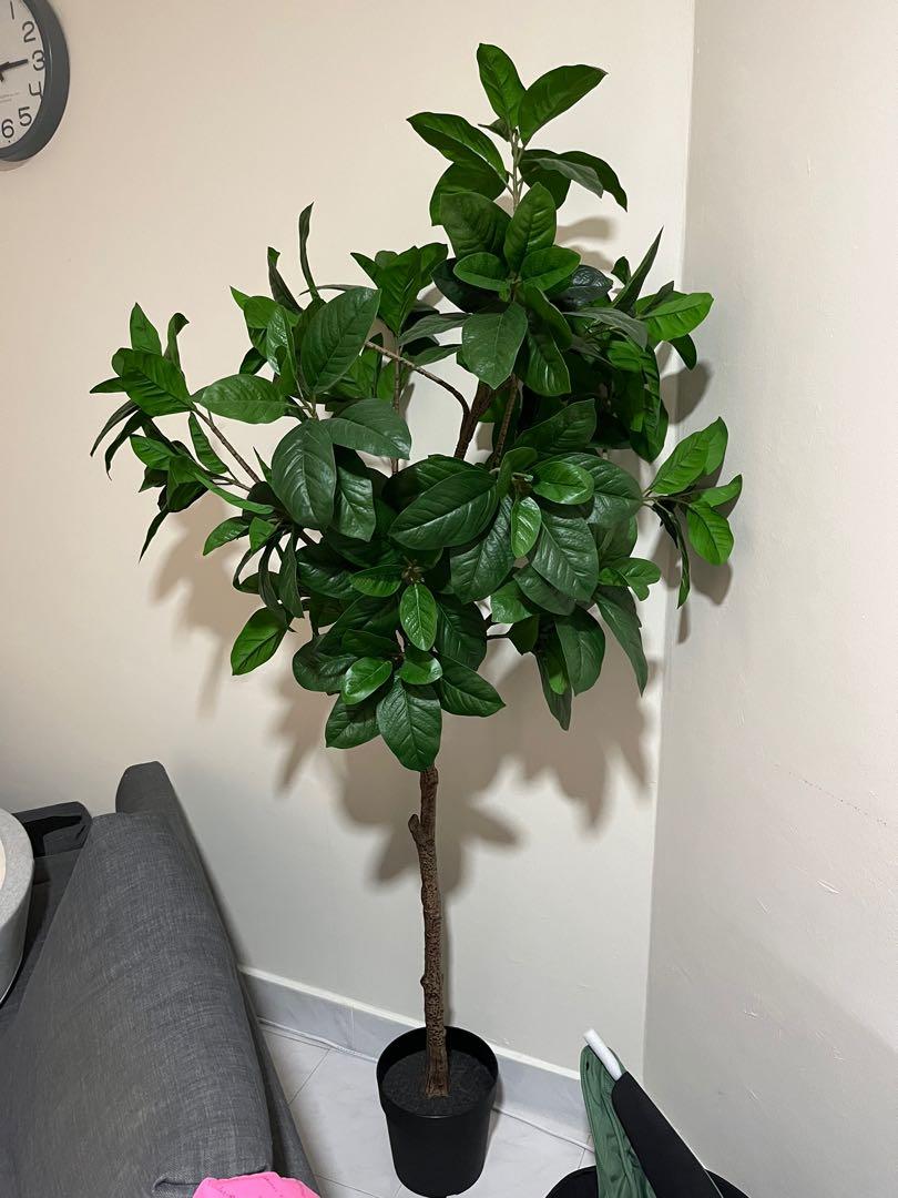 Ikea Artificial Potted Plant Fejka, Furniture & Home Living, Home Decor