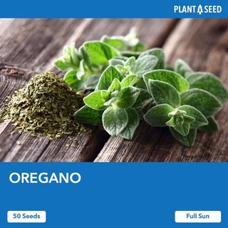 (Category: ) located in . Submitted by plantaseed (Listing ID 1085473044, Image 1). Description: .