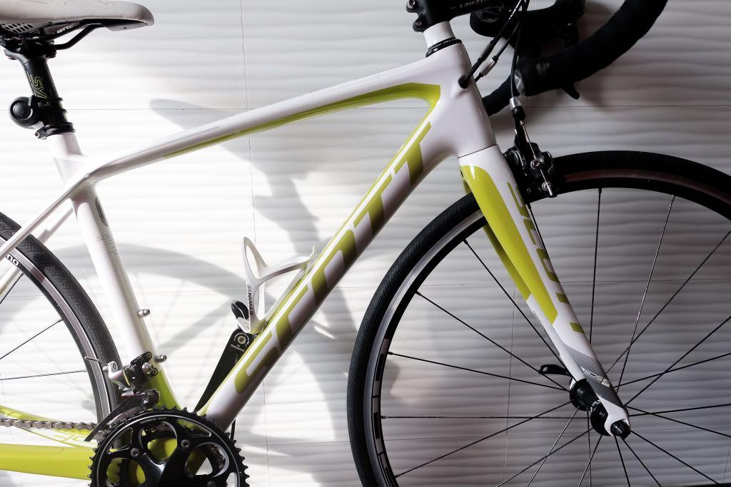 Scott solace 35 2025