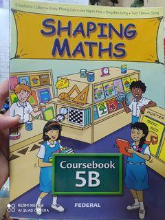Shaping Math Coursebook 5B & Activity 5B Part 2