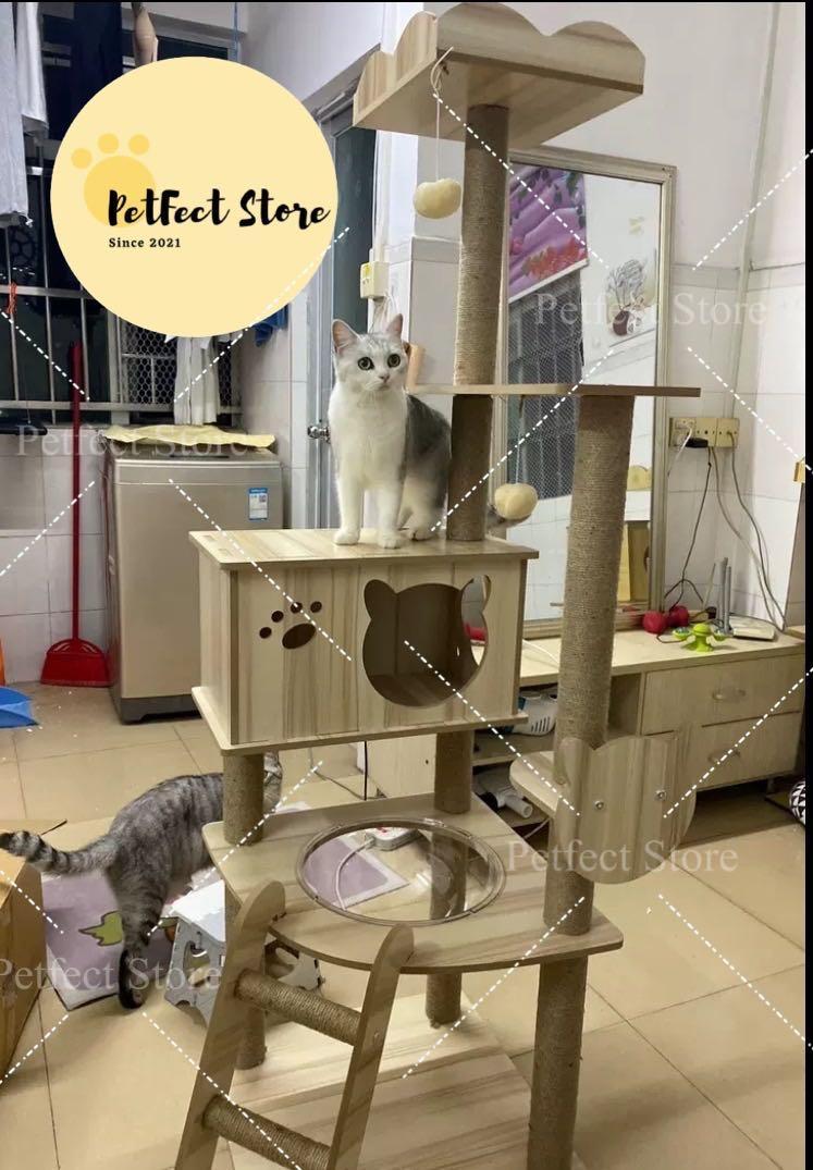 Cat condo shop lazada