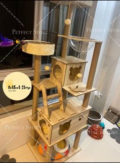 (Category: ) located in . Submitted by petfectstore (Listing ID 1142429139, Image 1). Description: .