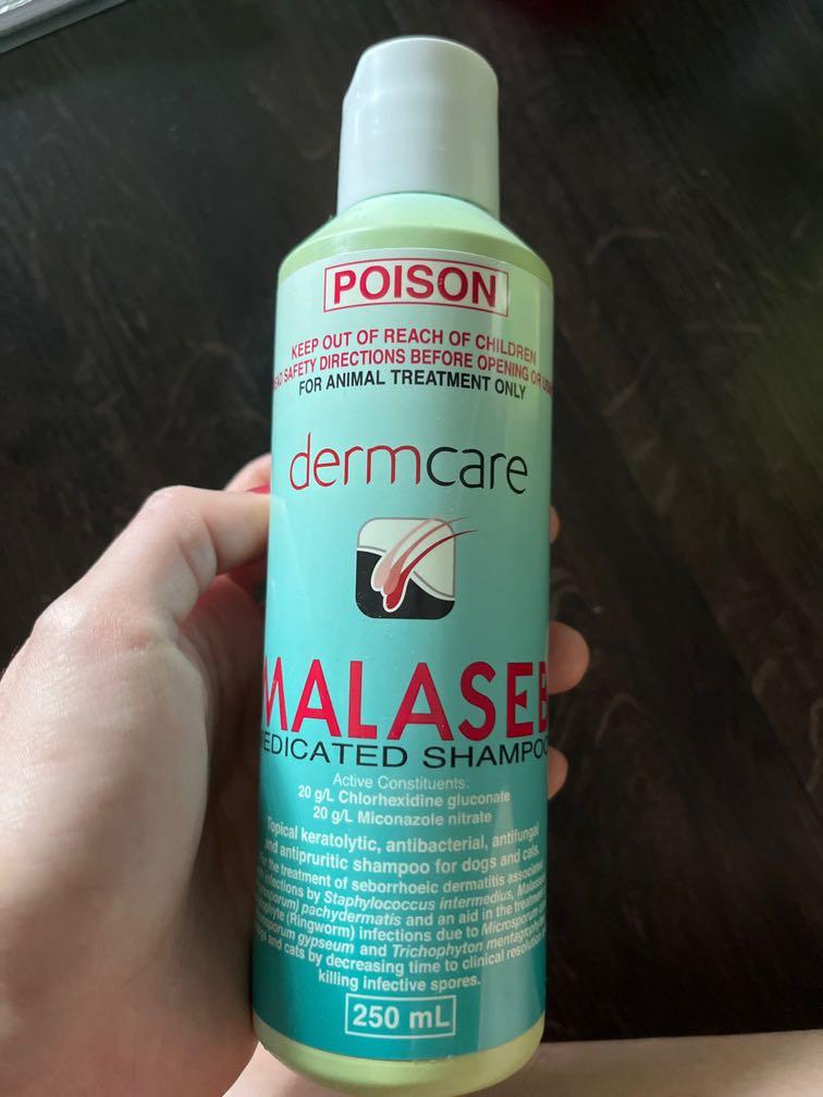 malaseb shampoo for cats