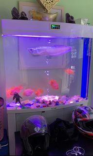 (Category: ) located in . Submitted by chromosphere123 (Listing ID 1142496759, Image 1). Description: .