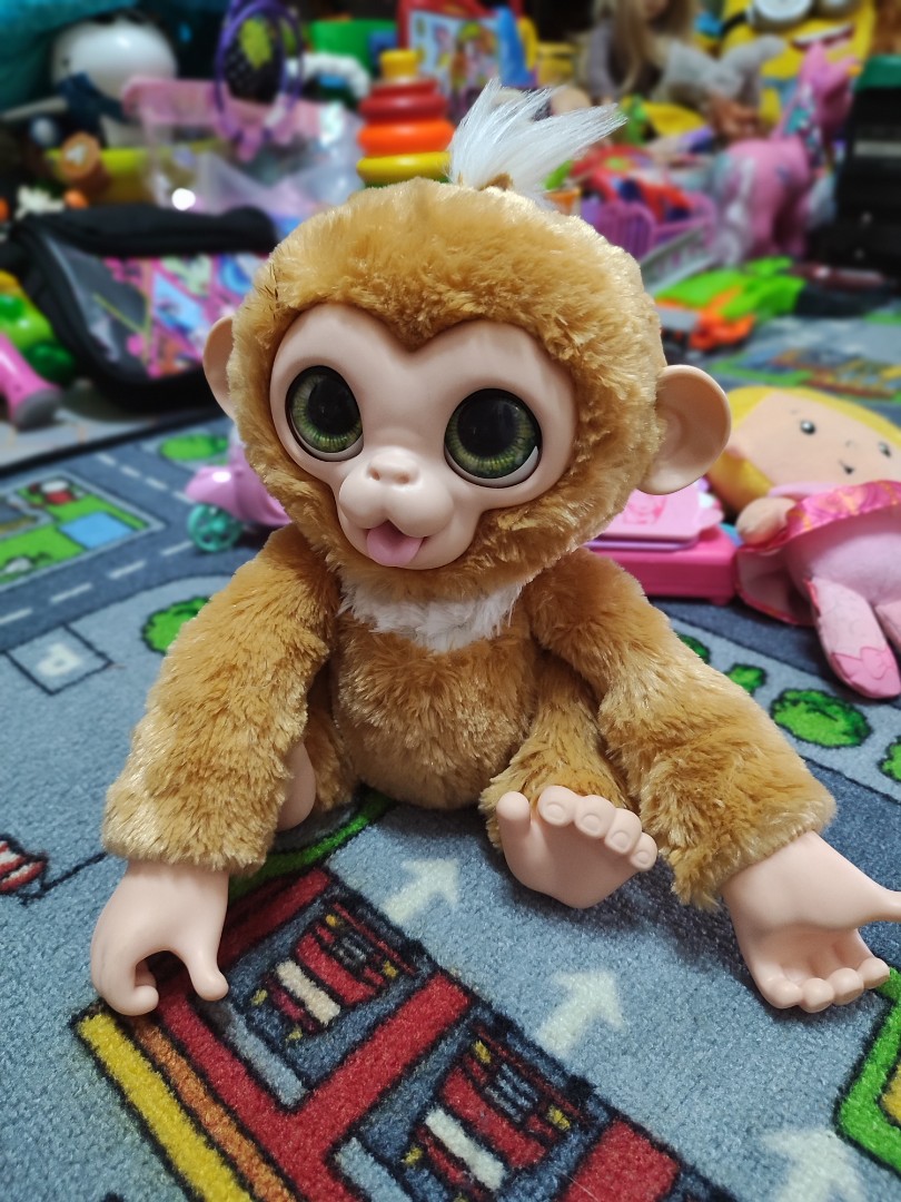 Zandi monkey hot sale