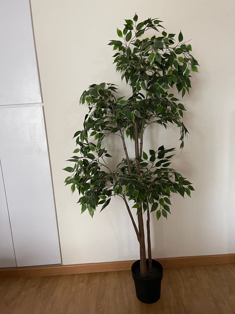 IKEA Fejka Artificial Potted Plant weeping fig, Furniture & Home Living
