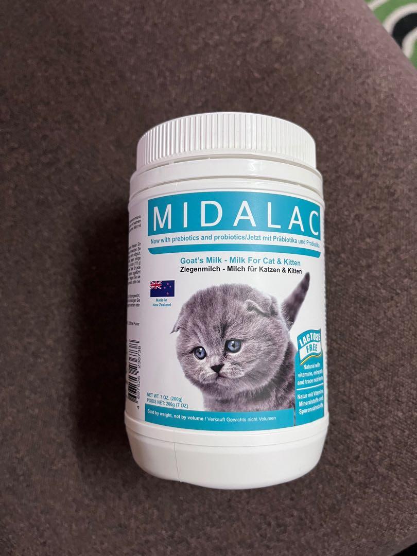 Goat milk hotsell for newborn kittens