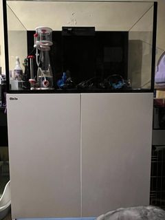 （分類：）位於 。 由 joyceyip97 提交（商品編號 1142470798，圖片 1）。簡介： 。
