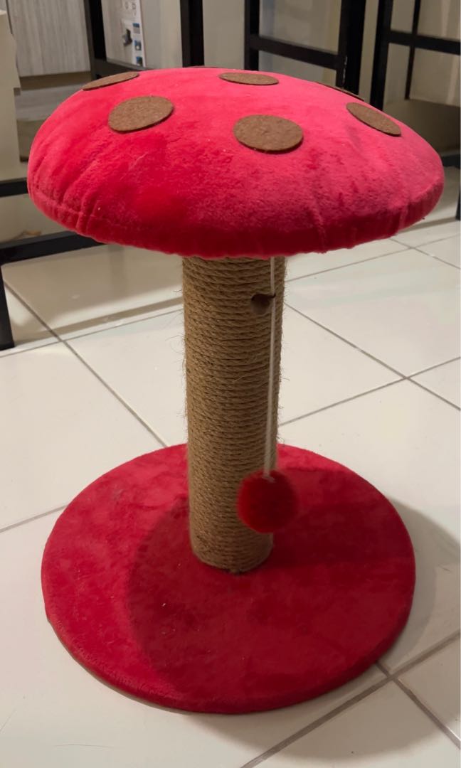 Scratch Post Pole Cat Climbing, Pet Supplies, Homes & Other Pet