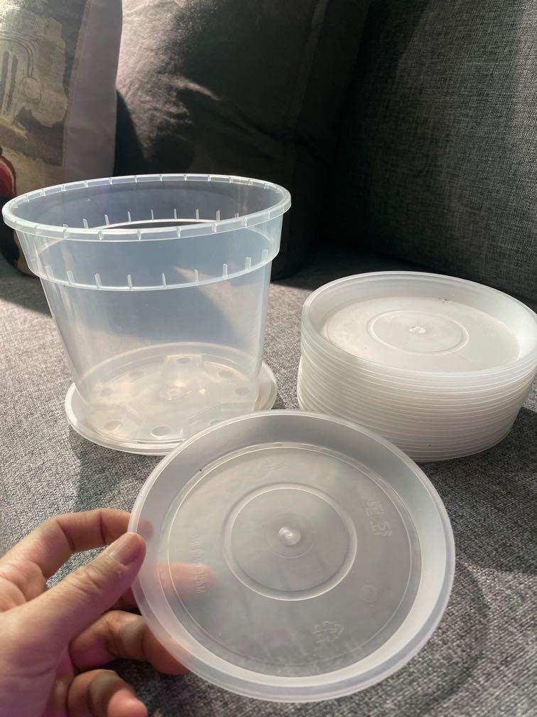 Solid pvc translucent pot tray (Category: Pots & Planters) located in Singapore. Submitted by flyfarfaraway (Listing ID 1142329289, Image 1). Description: Solid pvc plant pot tray. Fits the 17 cm OCTO pot perfectly. $1.20 per tray. Multiple available. Pot for demo only..