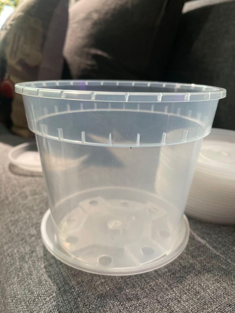 Solid pvc translucent pot tray (Category: Pots & Planters) located in Singapore. Submitted by flyfarfaraway (Listing ID 1142329289, Image 2). Description: Solid pvc plant pot tray. Fits the 17 cm OCTO pot perfectly. $1.20 per tray. Multiple available. Pot for demo only..