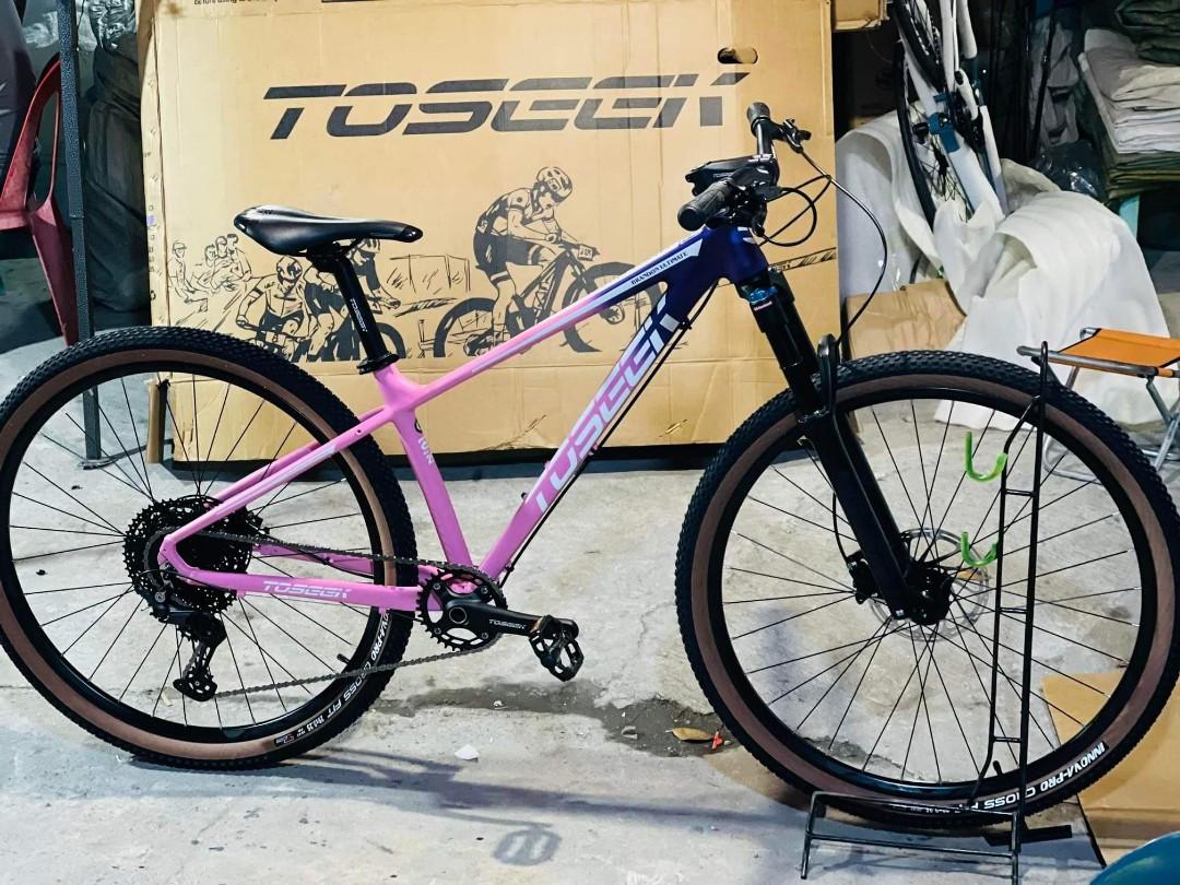 Toseek bike top 29er price
