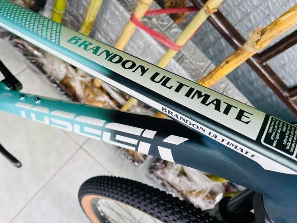 toseek brandon 29er 2023