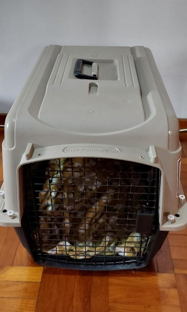 Trade sale Petmate ultra vari kennel crate cage airline dog cat